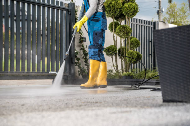 Best Roof Cleaning and Mildew Removal in San Juan, TX