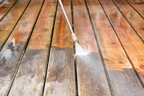 Best Fence Cleaning and Maintenance in San Juan, TX